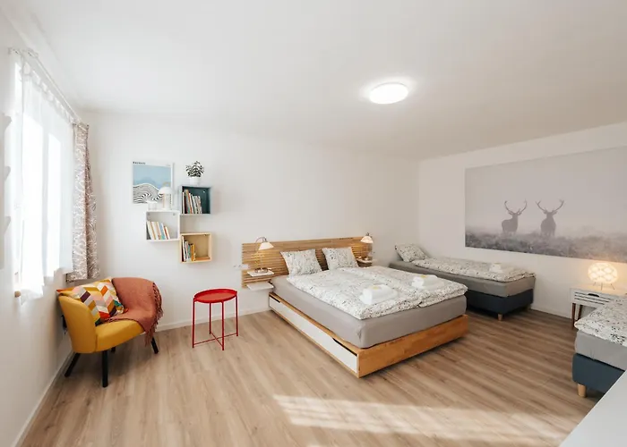 Apartament U Zamku - By the castle *